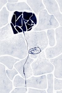  av Ankie Kooi