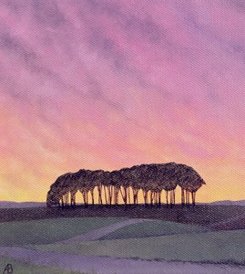 Fjerne Pines av Anna Phillips
