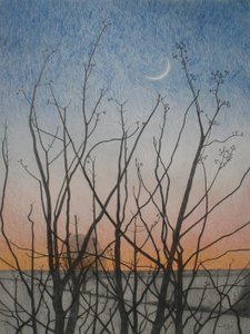 Fra mitt vindu, 2011 (farget blyant på papir) av Anna Phillips