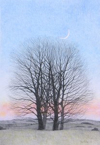 New Moon, 2011 (farget blyant på papir) av Anna Phillips