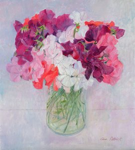 Søte erter, 1999 av Ann Patrick
