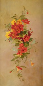 Nasturtiums av Anna Eliza Hardy