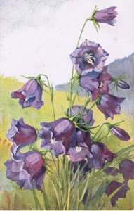 Blå blomst, postkort, 1940-tallet