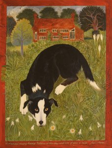 Colliehund (akryl) av Anna Pugh
