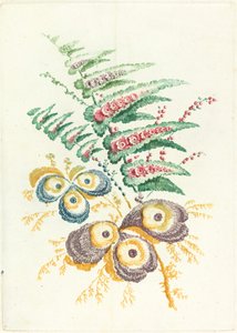Fantastiske blomster med østersskjellblomster, ca. 1795.