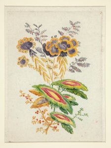 Fantastiske blomster, fra New Suite of Notebooks of Ideal Flowers for bruk av designere og malere