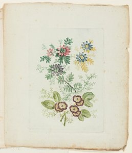 Plate, fra New Suite of Notebooks of Ideal Flowers for bruk av tegnere og malere