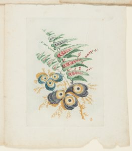 Plate, fra New Suite of Notebooks of Ideal Flowers for bruk av tegnere og malere
