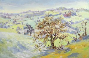 Fra Udimore Mot Peasmarch, Sussex, om vinteren