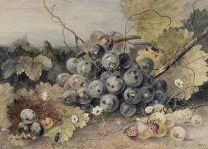 Druer og jordbær av Anne Frances Byrne