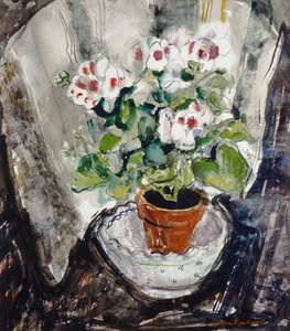 Pelargonium (akvarell på papir)