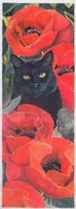 Svart katt med valmuer