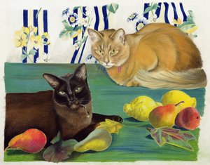 Katter med frukt