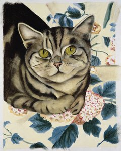 Tabby katt