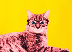 Livet i technicolor, 2017