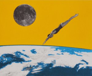 Romdykket, 2016 av Anne Storno