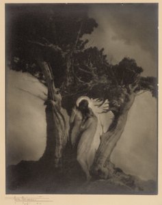 Stormens hjerte av Anne W. Brigman