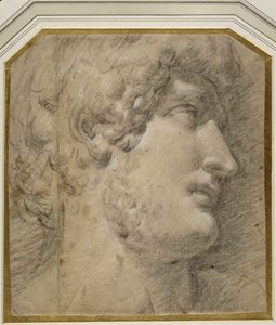 Leder for keiser Gallienus (eller? Hadrian), etter det antikke (svart kritt på krempapir) av Annibale Carracci