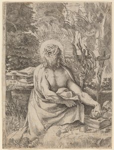 Saint Hieronymus i villmarken av Annibale Carracci