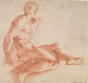 Sitzender männlicher Akt av Annibale Carracci