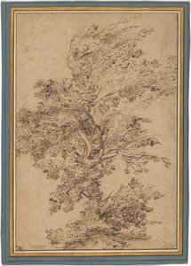 Studie eines Baumes av Annibale Carracci
