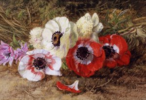  av Annie Feray Mutrie