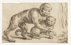 Monkey holder en kattelab ved bålet av Anonymous