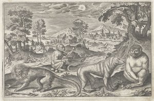 Aper Firebeinte dyr (serietittel) Animalivm Qvaddrvpedvm (serietittel) av Anonymous