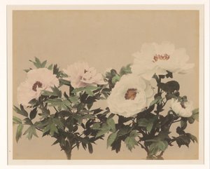 Blomsterstilleben med peoner av Anonymous