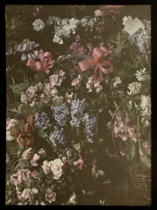 Blomsterbunter med sløyfe, kurv og kort av Anonymous