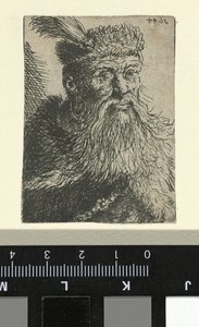 Byste av en polsk herremann av Anonymous
