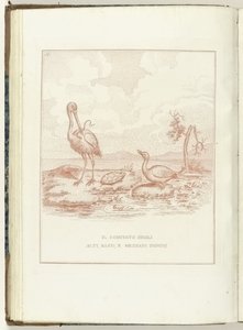 Comité van Hoge, Lage en Middelbare Heerlijkheden, 1795 Il Comitato degli Alti, Bassi, e Mezzani Domini (title on object) Hollandia Regenerata (Italiaanse kopie) (series title) La rigenerazione dell