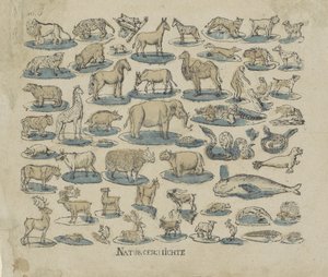 tjenere Natural History (tittel på objekt) av Anonymous