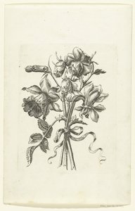 Tre blomster, inkludert en påskelilje og en nellik Novae Florum Icones (serietittel) av Anonymous