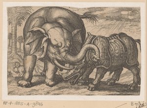 Et neshorn kjemper mot en elefant Fighting Animals (kopier) (serietittel) av Anonymous