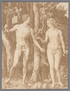 Fotoreproduksjon av graveringen Adam og Eva av Albrecht Dürer av Anonymous