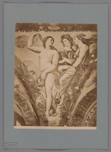 Fotoreproduksjon av fresken Amor en Psyche i Loggia di Psiche, Villa Farnesina i Roma Roma. Amor og Psyche. Farnesina (tittel på objekt) av Anonymous