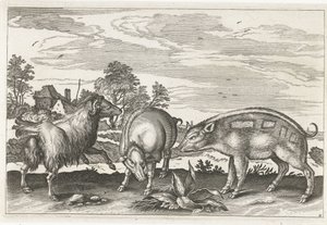 Geit og villsvin Firebeinte dyr (serietittel) Animalivm Qvaddrvpedvm (serietittel) av Anonymous