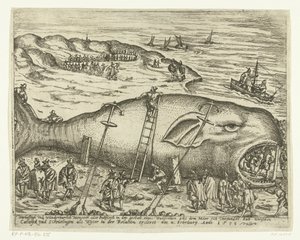 Strandet Walvis nær Berckhey, 1598 Warhafttigh And Wonderful Monster eller Pottfisch i form av en hval, som Möer hadde silt opp fra mellom Catwyck og Schevelingen som Wyter i forholdet ercleret 4. februar, Anno 1598 (tit). av Anonymous