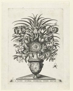 Grotesk vase med to mascarons på hver side av en bukranion Vaser med blomster (serietittel) av Anonymous
