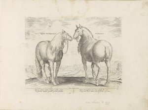 Hengst en merrie uit Roma Roman Matronal Horse (tittel på objekt) Paardenrassen uit de Koninklijke stallen van Don Juan van Oostenrijk (serietittel) Hesten, der alle slags adelsmenn: oppførselen til hester valgt fra forskjellige deler av verden skilles ut  av Anonymous