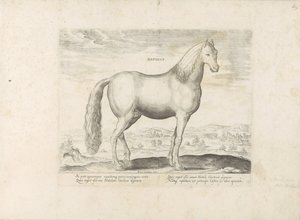 Hengst uit Anatolië Born (tittel på objekt) Paardenrassen uit de Koninklijke stallen van Don Juan van Oostenrijk (serietittel) Hesten, der alle slags adelsmenn: oppførselen til hester skilt fra ulike deler av verden valgt (...) (serietittel på o av Anonymous