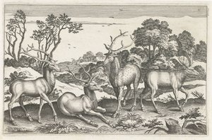 hjort Firebeinte dyr (serietittel) Animalivm Qvaddrvpedvm (serietittel) av Anonymous