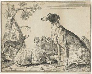 Kennel av Anonymous