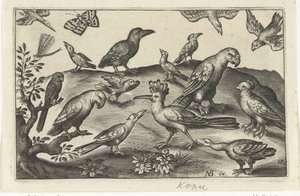 Humle og andre fugler Fugler og insekter (serietittel) av Anonymous