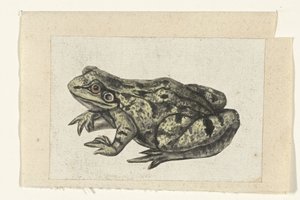 Kikker Lombard album (series title) av Anonymous
