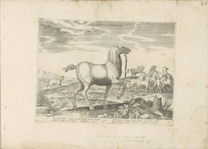 Kudde wilde paarden Hesteveddeløp for barn (tittel på objekt) Paardenrassen uit de Koninklijke stallen van Don Juan van Oostenrijk (serietittel) En hest, der alle slags adelsmenn: valgt fra forskjellige deler av verden kjennetegnet ved oppførselen til hest av Anonymous