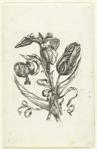 Lelie, iris og tulipan Nye blomsterikoner (serietittel) av Anonymous