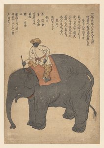 Elefant brakt av et nederlandsk skip i 1813 av Anonymous