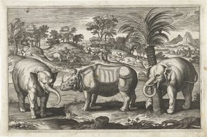 Elefanter og neshorn Firebeinte dyr (serietittel) Animalivm Qvaddrvpedvm (serietittel) av Anonymous